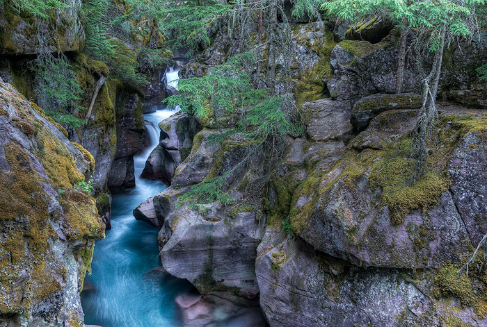 Avalanche Creek Glacier National Park Montana Brett Deacon Photography Avalanche Creek Glacier National Park Montana Brett Deacon Photography