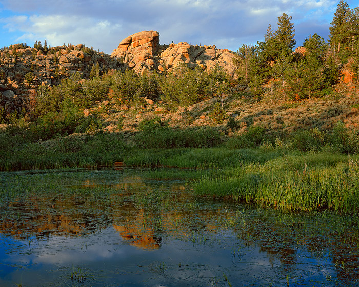A beaver pond at sunset in mid-summer highlights the beauty of the Sherman granite formations of Vedauwoo's Turtle Rock.   Field...